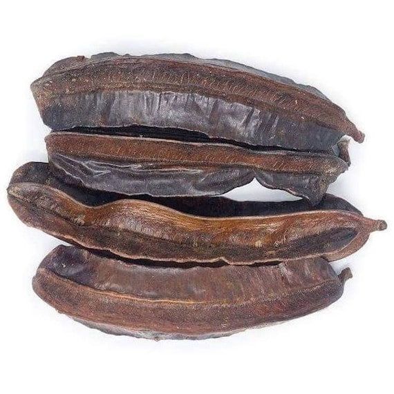 Aidan Pods