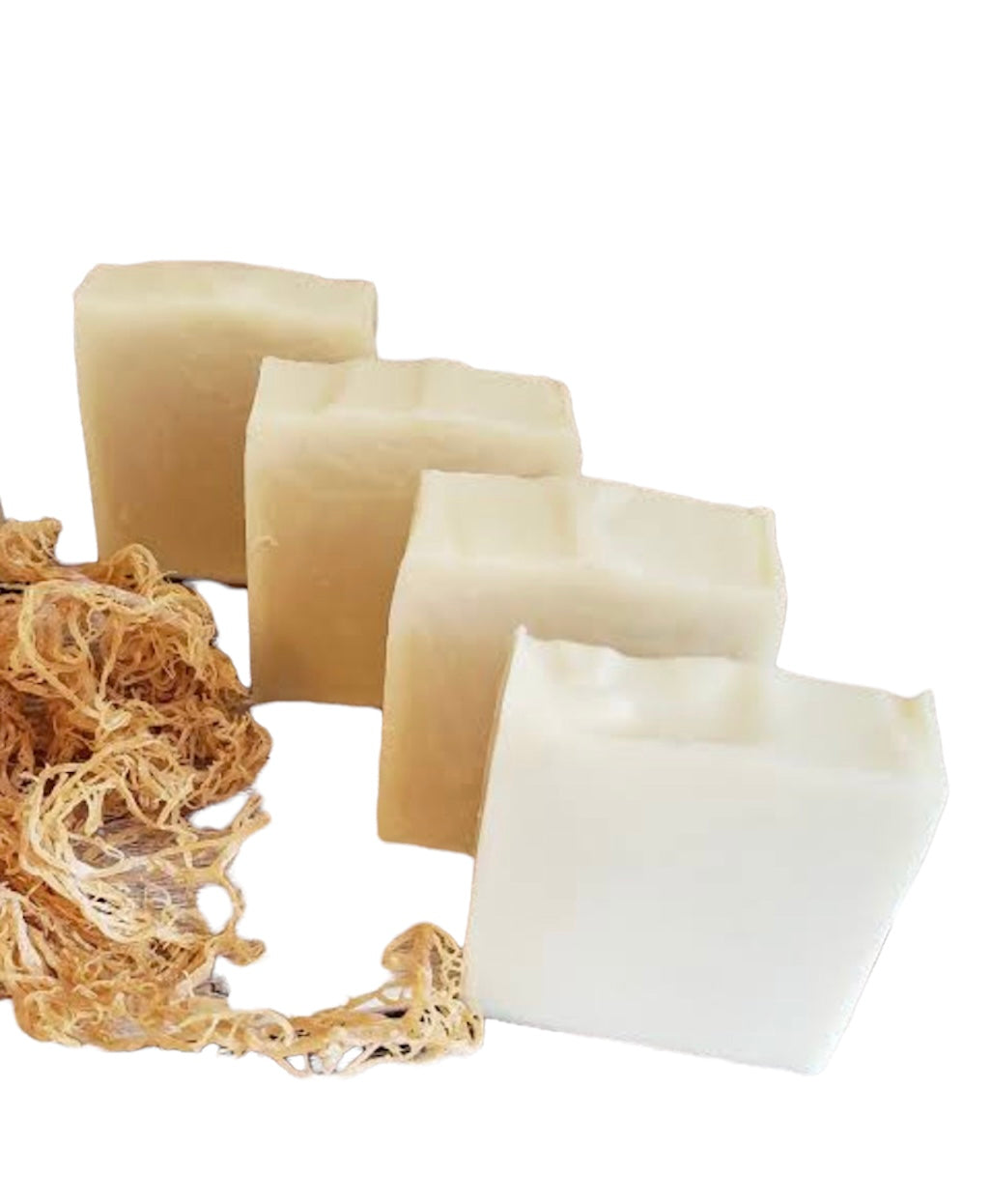 SeaMoss Soap
